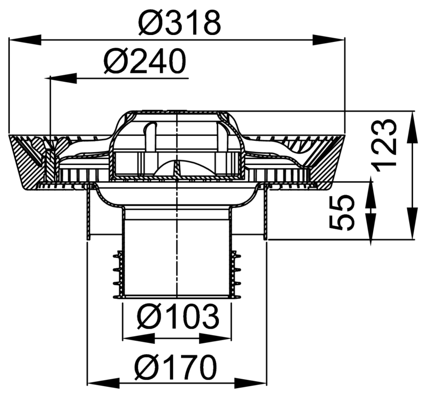 15900003_2D