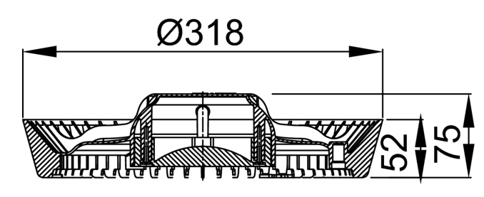 15900050_2D