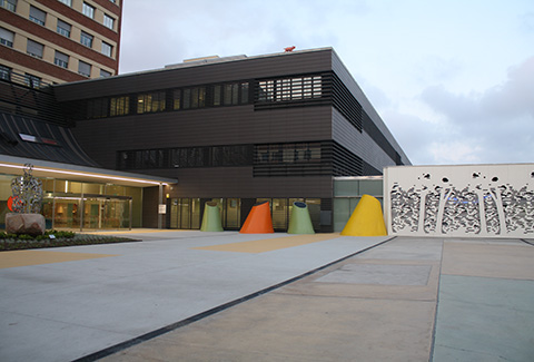 ACO en el Hospital Sant Joan de Déu