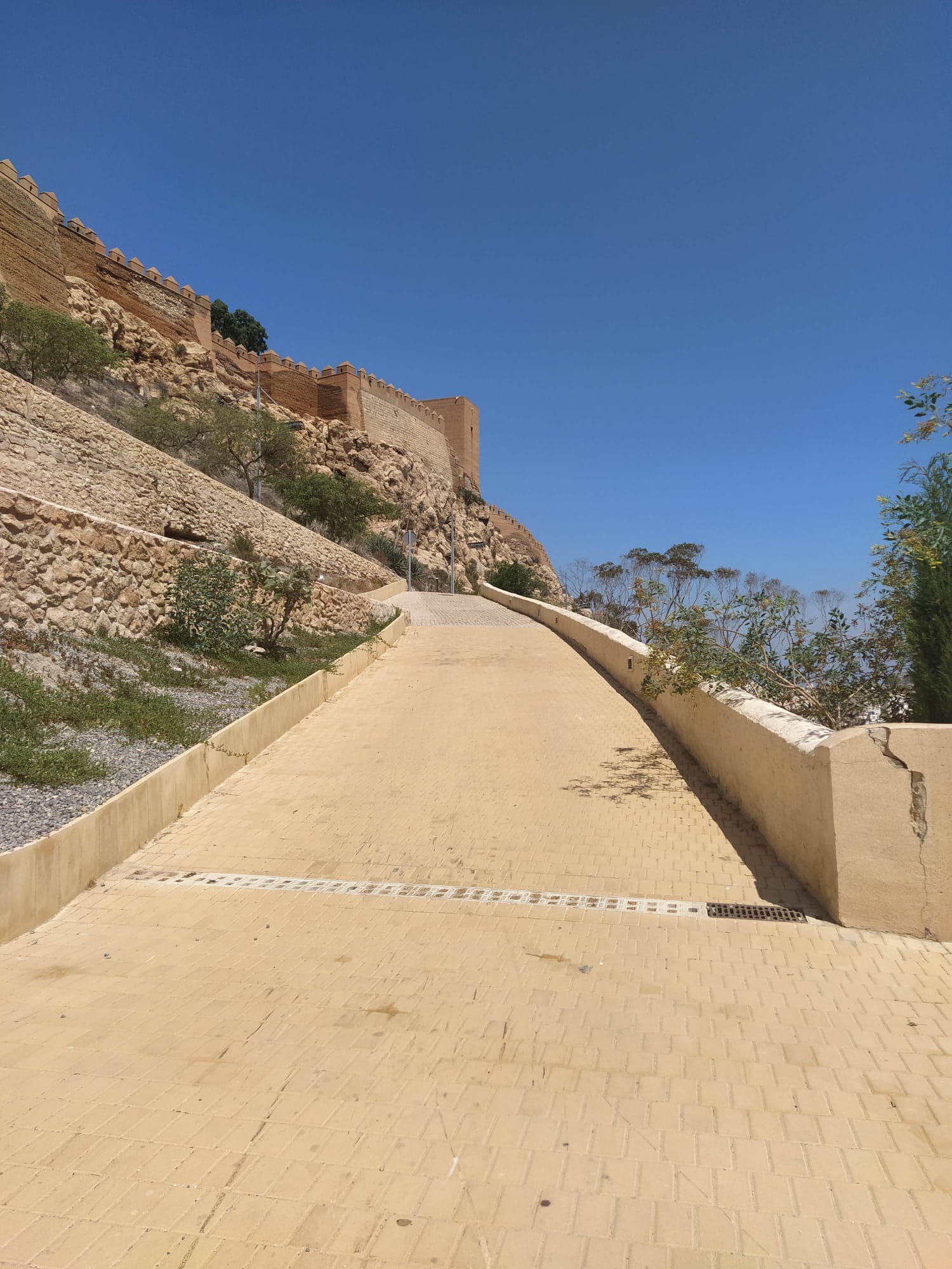 ACO en el Mirador del Mesón del Gitano