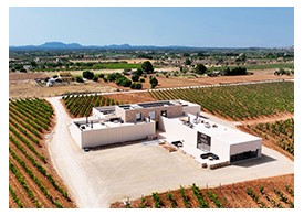 ACO Engineering - BiniVista